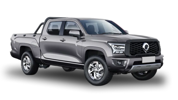 Great Wall Poer Kingkong Серый